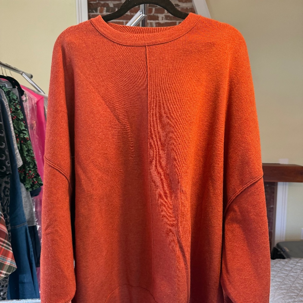 Free People Burnt Orange Oversized Sweatshirt